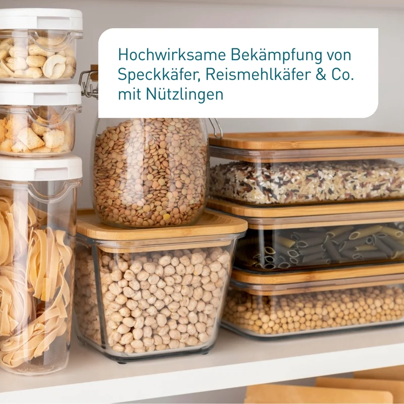 Lagerpiraten gegen Speckkäfer, Reismehlkäfer & Co.