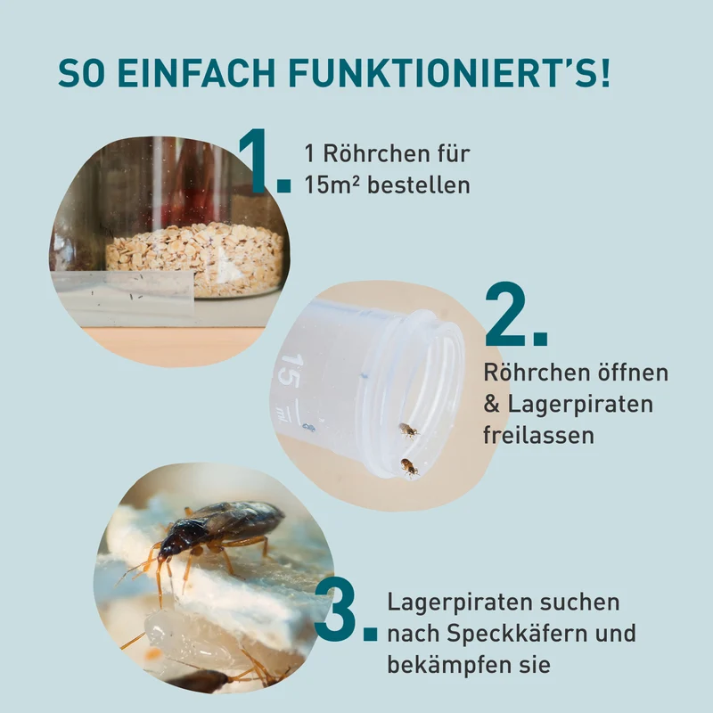 Lagerpiraten gegen Speckkäfer, Reismehlkäfer & Co.