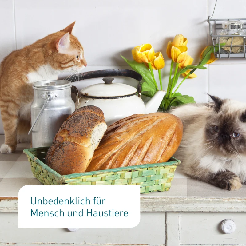 Lagerpiraten gegen Speckkäfer, Reismehlkäfer & Co.