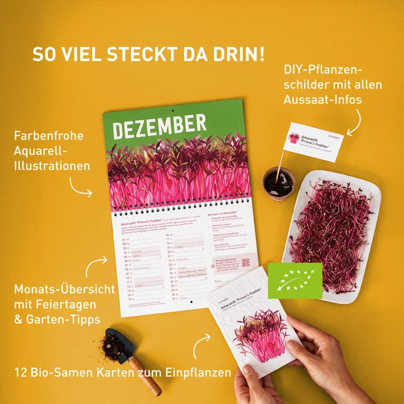 Einpflanzbarer Kalender 2027