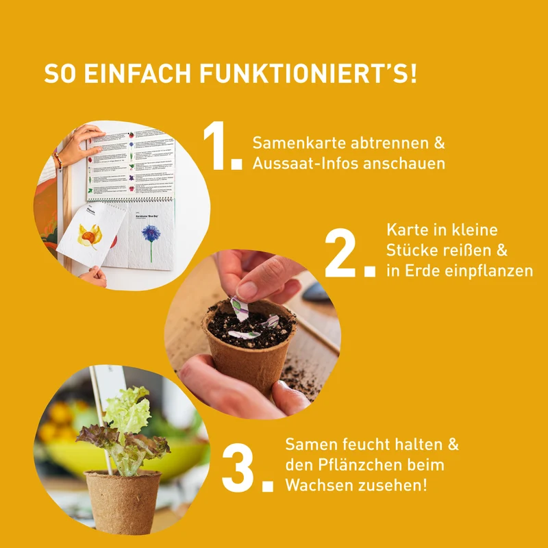 Einpflanzbarer Kalender 2027