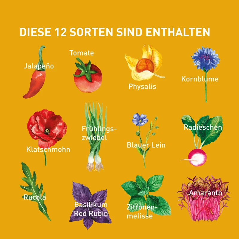 Einpflanzbarer Kalender 2027