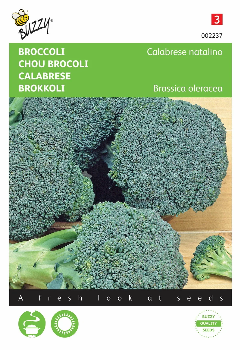 Brokkoli Calabrese natalino, grün