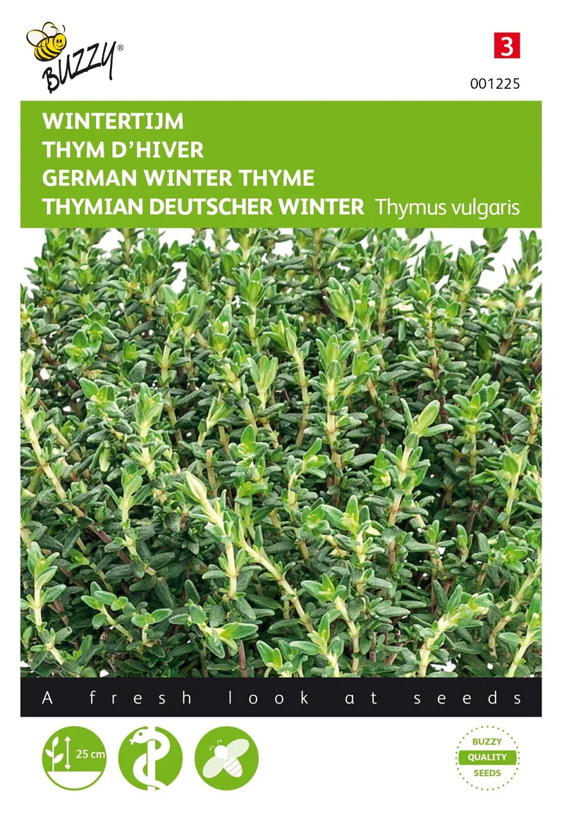 Thymian Real Winter
