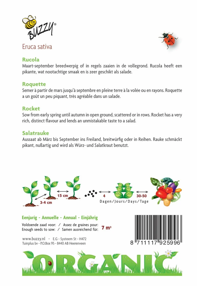Rucola (Bio)
