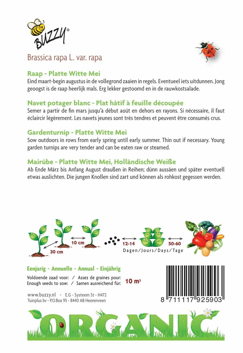 Rüben-Flat White Mai (Bio)