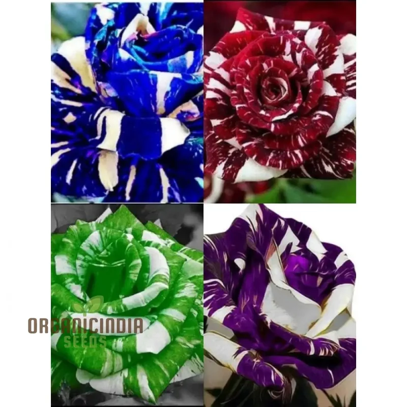 Green and White Flower Seeds for Planting - Gardening Mix (100 pcs)
