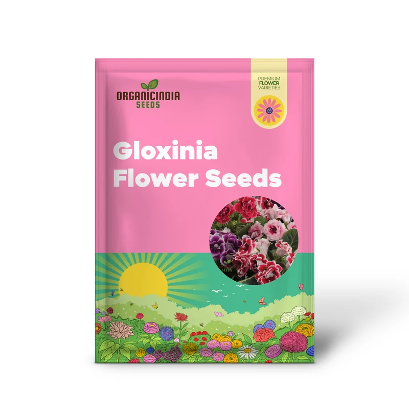 Gloxinia Seeds (Gloxinia Flower Seeds) - Splendid Indoor Blooming Plant