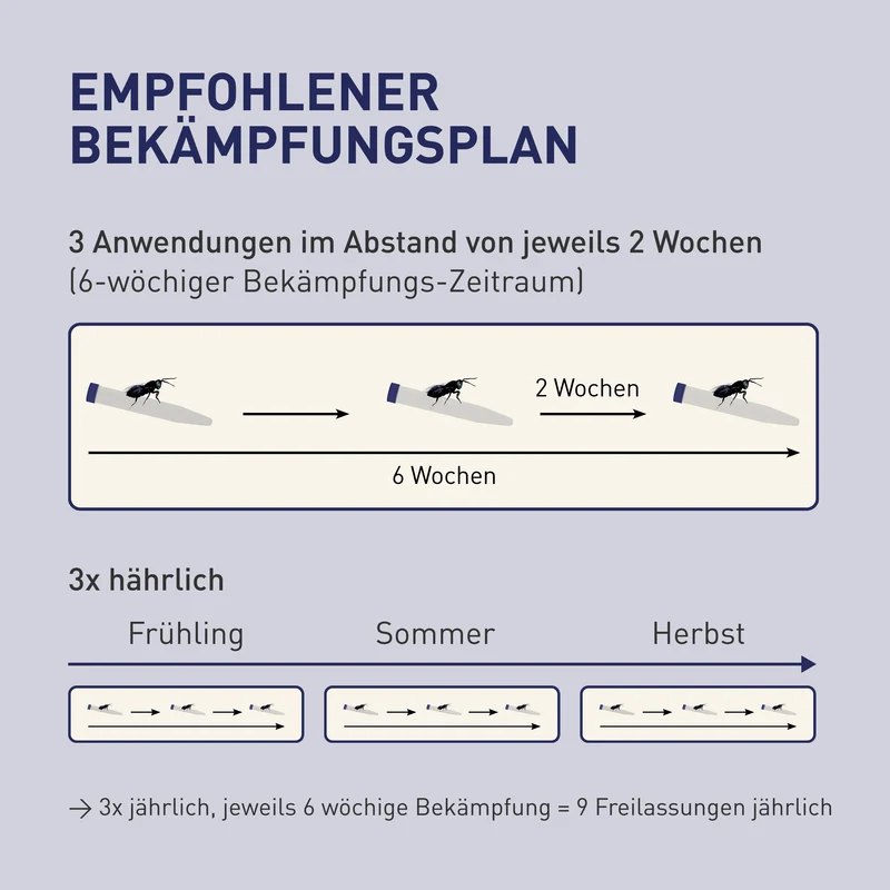 Lagererzwespen gegen Kugelkäfer & Messingkäfer