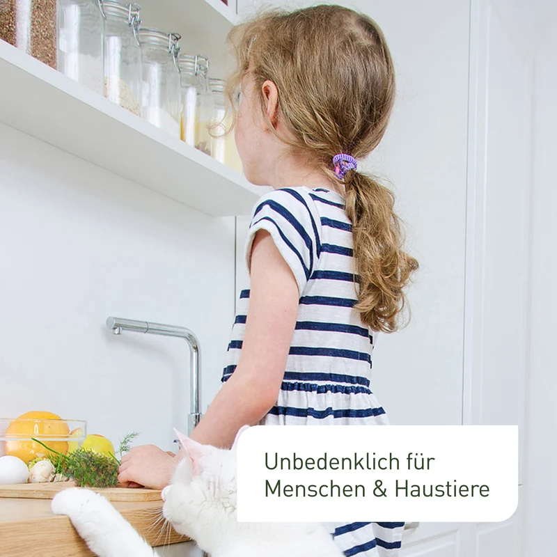 Lagererzwespen gegen Kugelkäfer & Messingkäfer