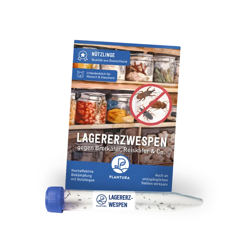 Lagererzwespen gegen Brotkäfer, Reiskäfer & Co.