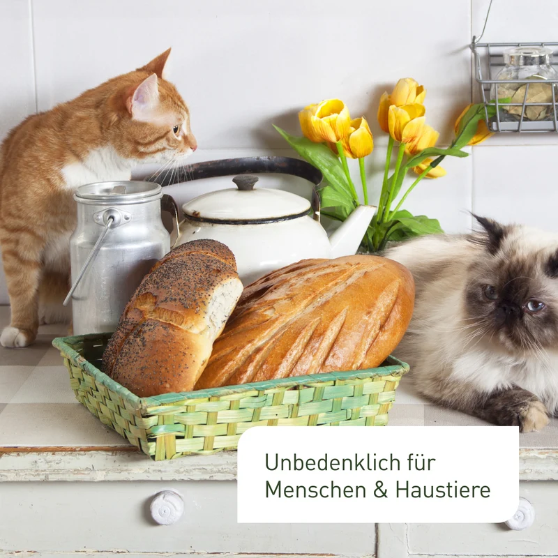 Lagererzwespen gegen Brotkäfer, Reiskäfer & Co.