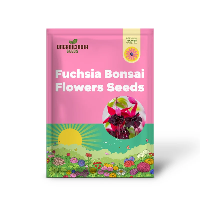 Viola Seeds (Double Petal Fuchsia Viola Seeds) - Compact Bonsai Blooms for Gardens & Pots