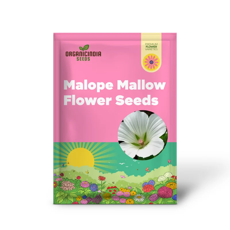 Bianco Malope Mallow Trifida Flower Seeds for Planting 100 pcs
