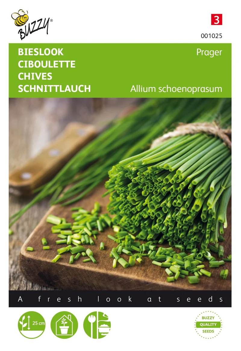 Schnittlauch Fein