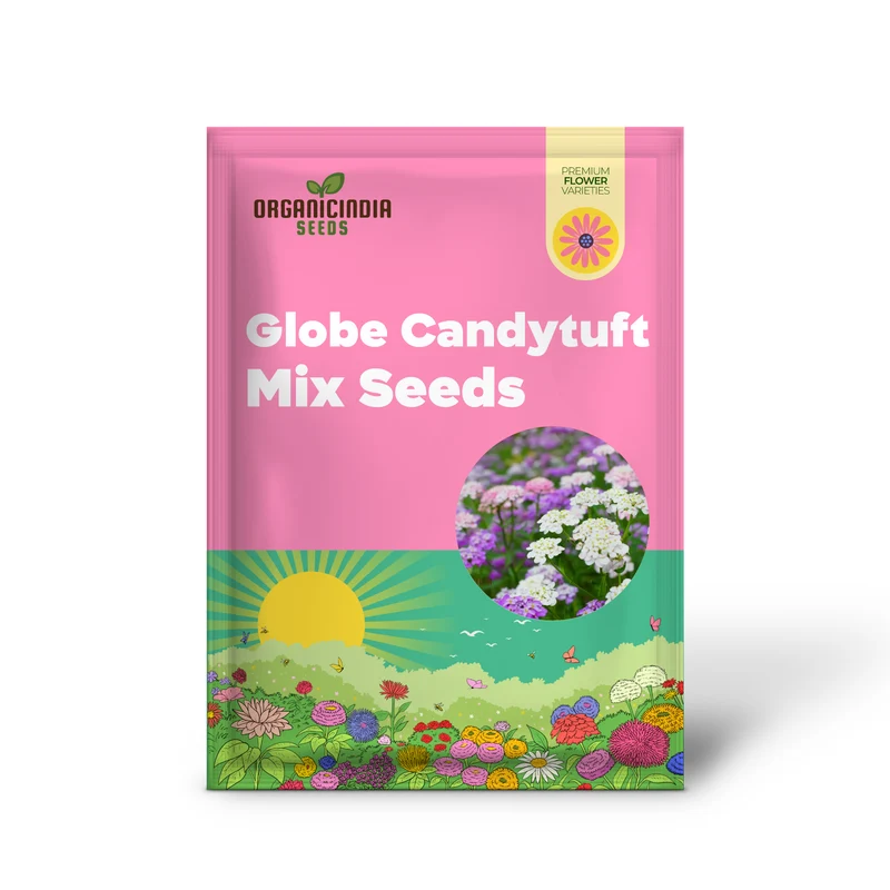 Globe Candytuft Mix Seeds - Colorful Blooms for Your Garden for Planting