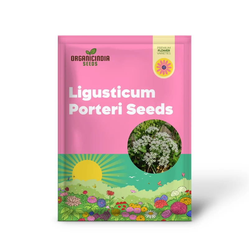 Ligusticum Porteri Seeds | OSHA Root, Porter's Lovage Perennial Herb