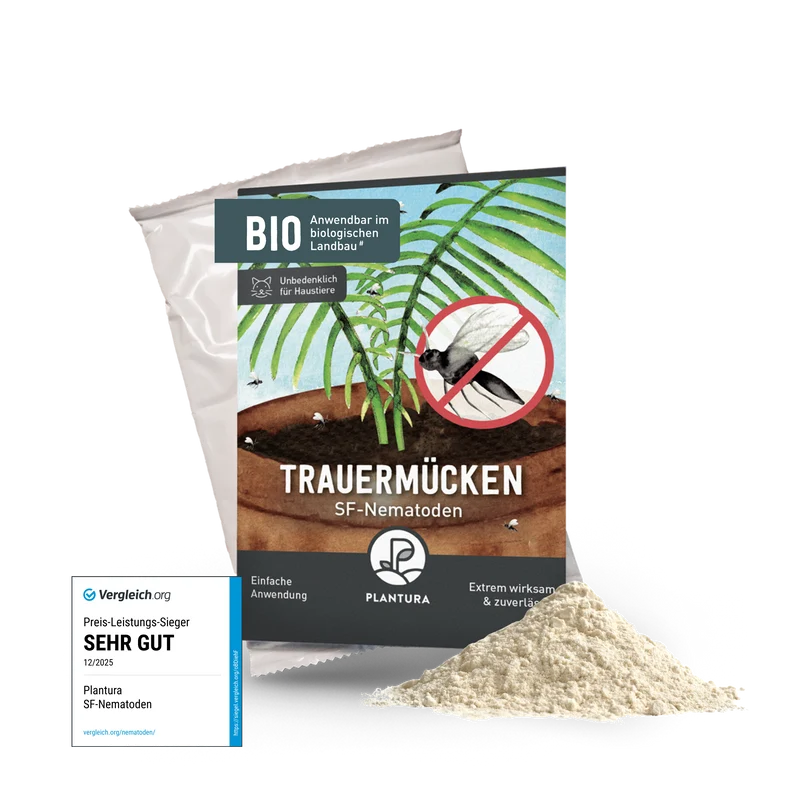 SF-Nematoden gegen Trauermücken