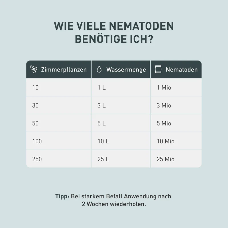 SF-Nematoden gegen Trauermücken