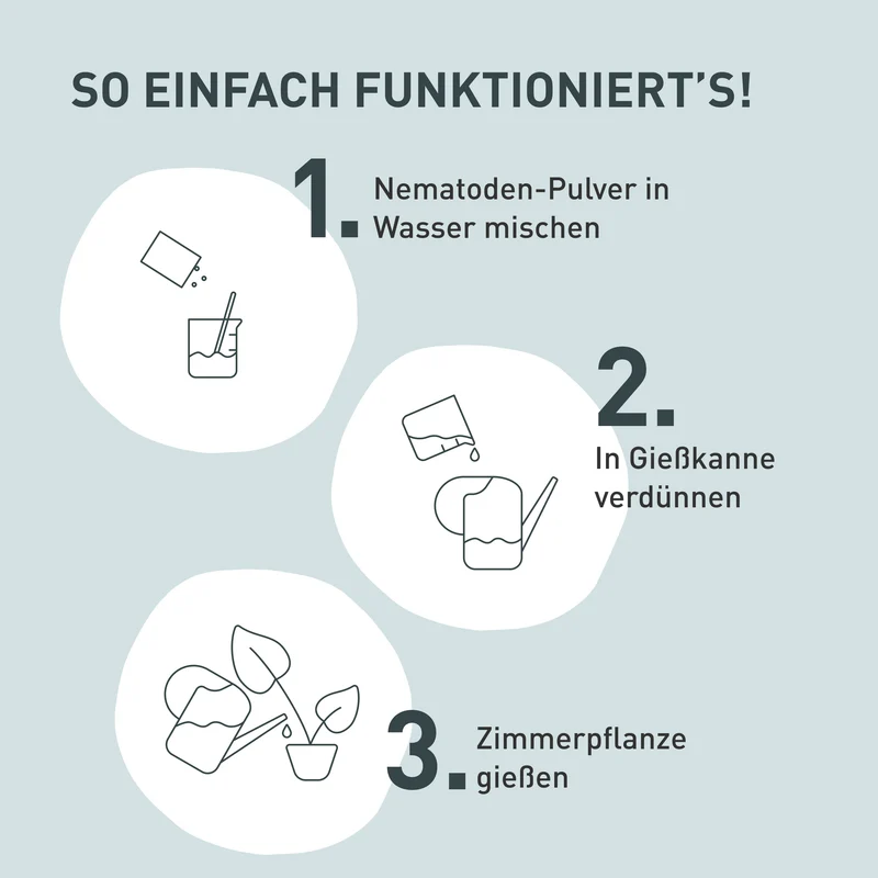 SF-Nematoden gegen Trauermücken