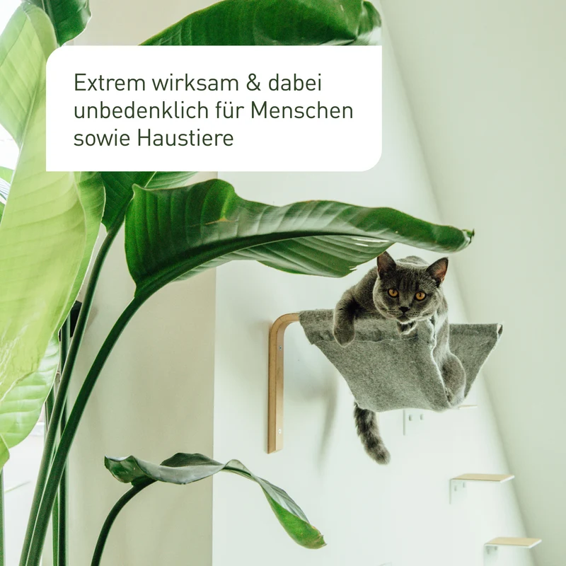 SF-Nematoden gegen Trauermücken