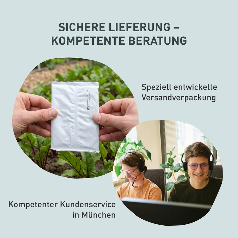 SF-Nematoden gegen Trauermücken