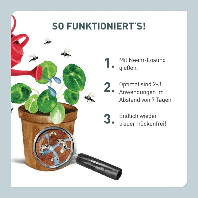 Trauermückenfrei Neem