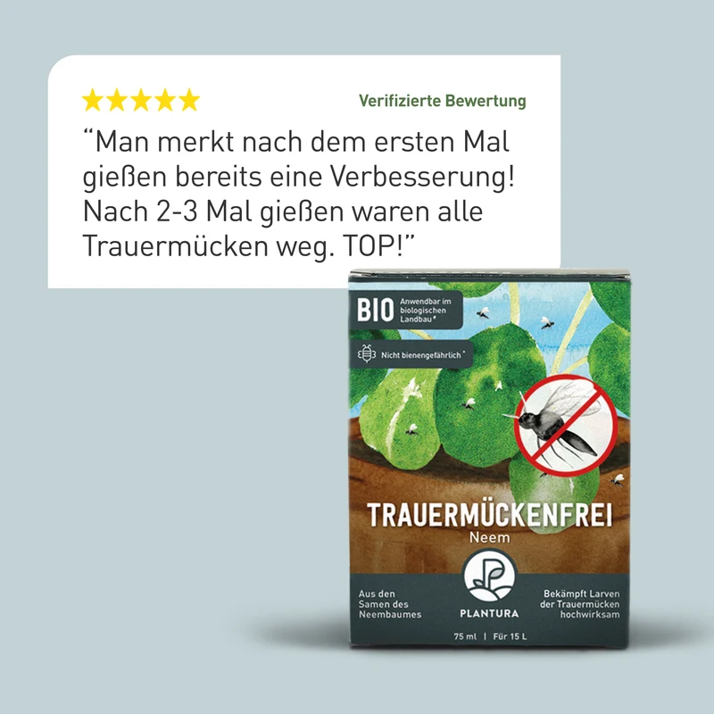 Trauermückenfrei Neem