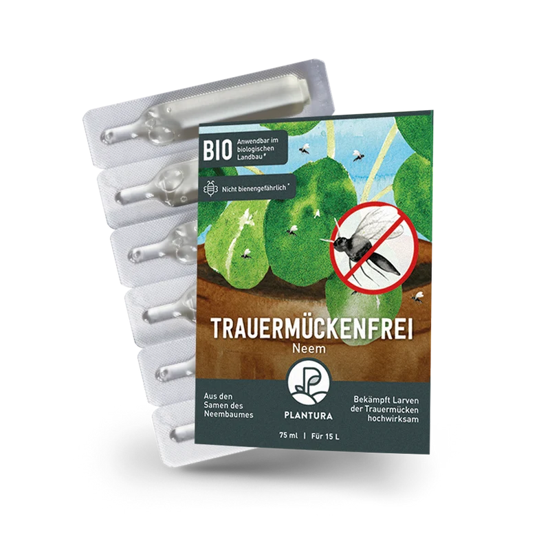 Trauermückenfrei Neem