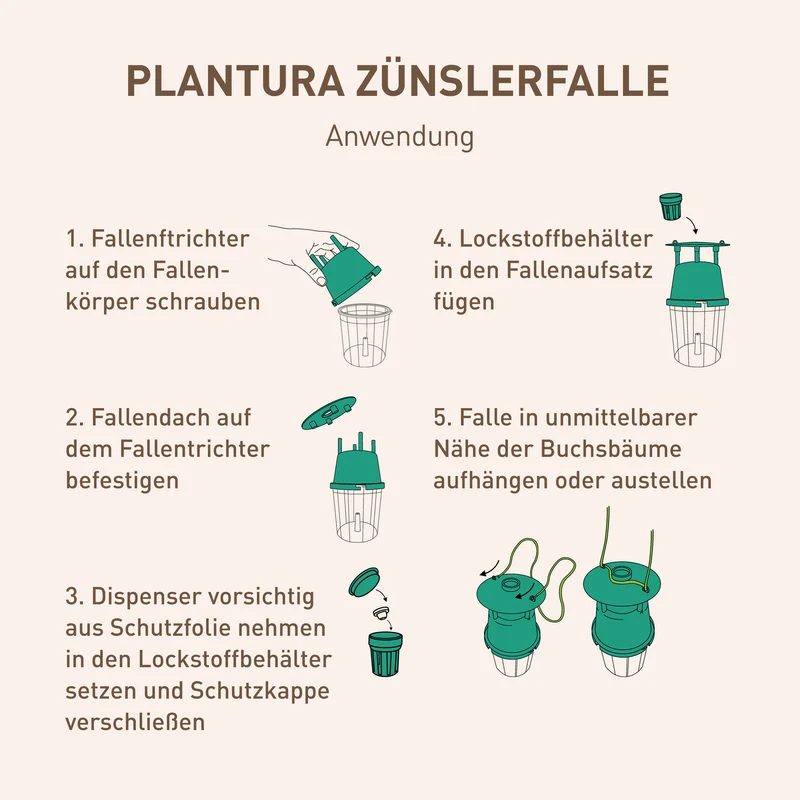 Buchsbaumzünslerfalle Pheromonfalle für Buchsbaumzünsler