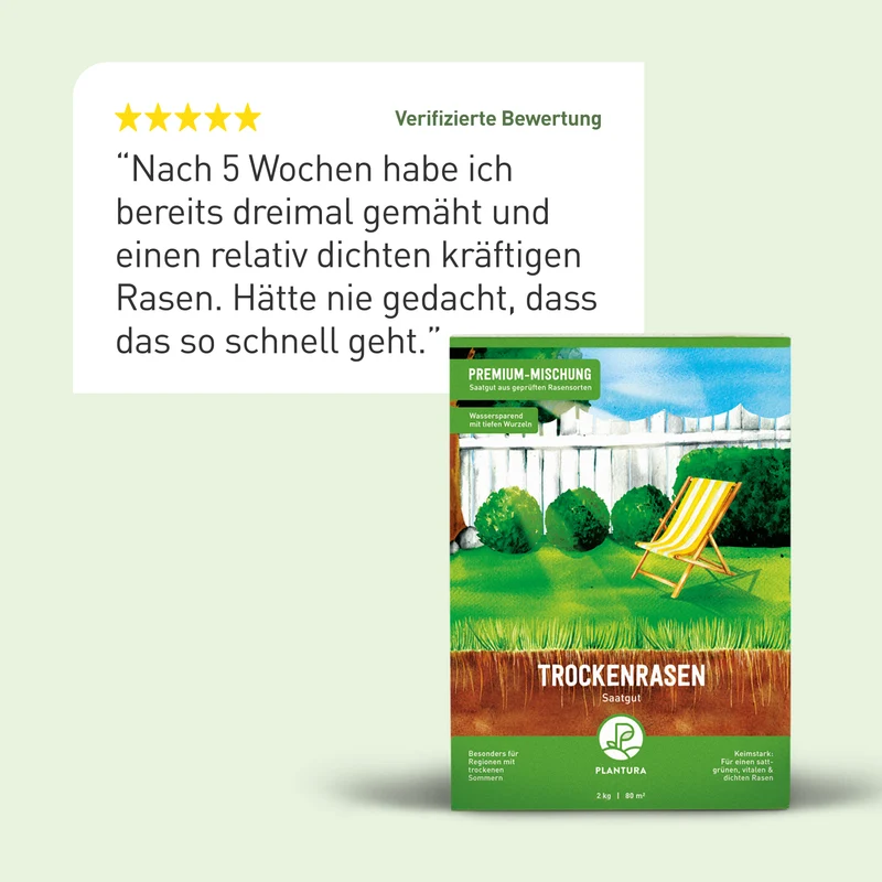 Trockenrasen 2 kg
