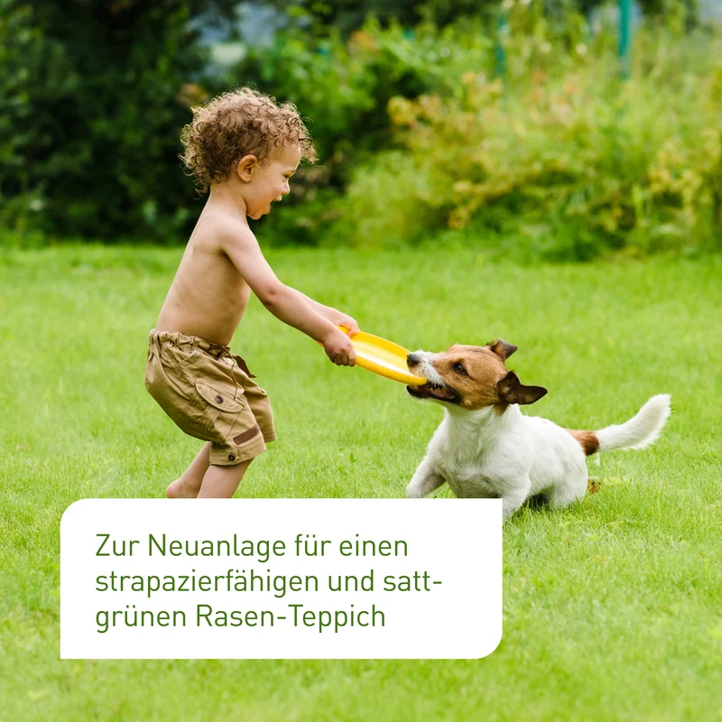 Spiel- & Sportrasen 2 kg