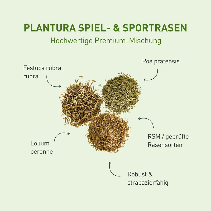 Spiel- & Sportrasen 2 kg