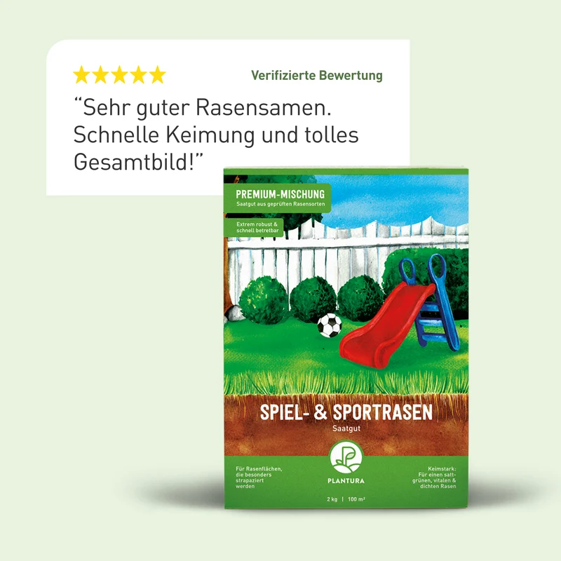 Spiel- & Sportrasen 2 kg