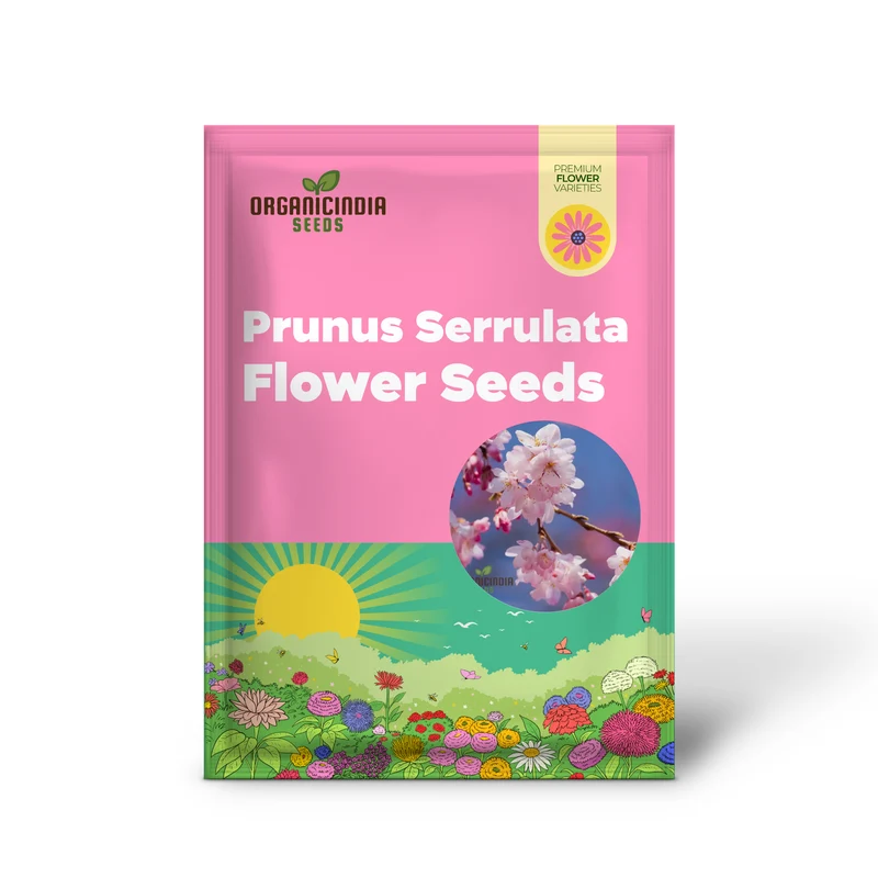 Japanese Cherry Tree Cloud Oriental Sweet Prunus Serrulata Flower Seeds - Pink Blooms, Perfect for Planting Your Dream Garden