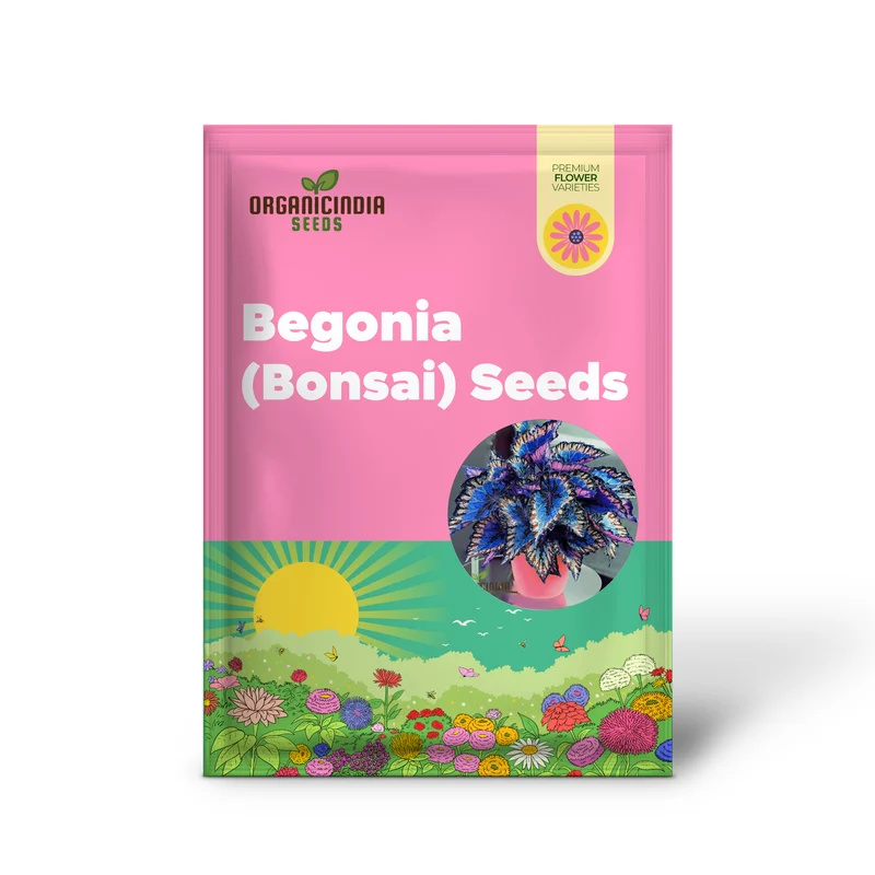 Begonia Bonsai Seeds – Compact Ornamental Indoor Plant