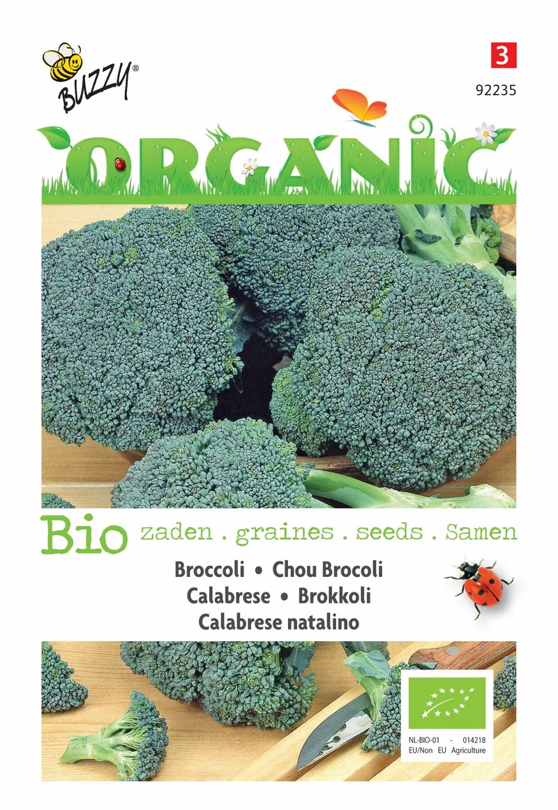 Brokkoli Calabrese natalino (BIO)