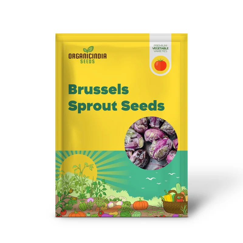 Heirloom Purple Red Brussels Sprout Seeds, Planting