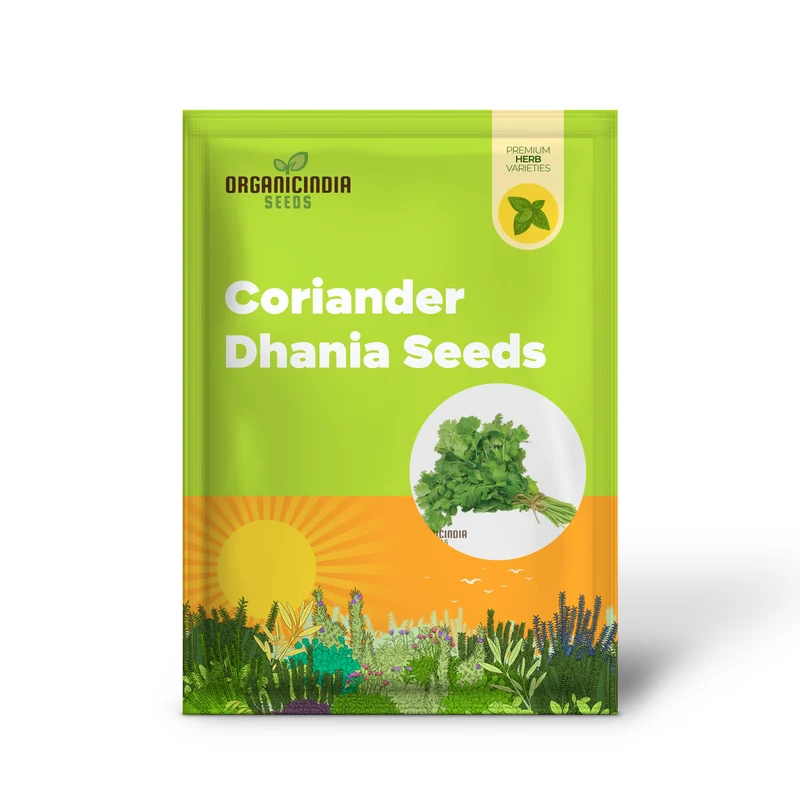 Coriander (Dhania) Seeds – Premium Kerbel Gewelltes Herb Seeds for Planting, Culinary & Garden Use