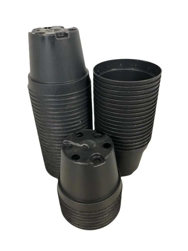 Schwarzer Anzuchttopf – Ø 6 cm, Höhe 5 cm