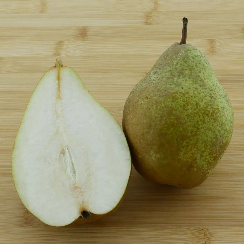 Bio-Birnbaum 'Gute Luise'