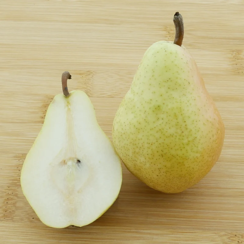 Bio-Birnbaum 'Clapps Liebling'
