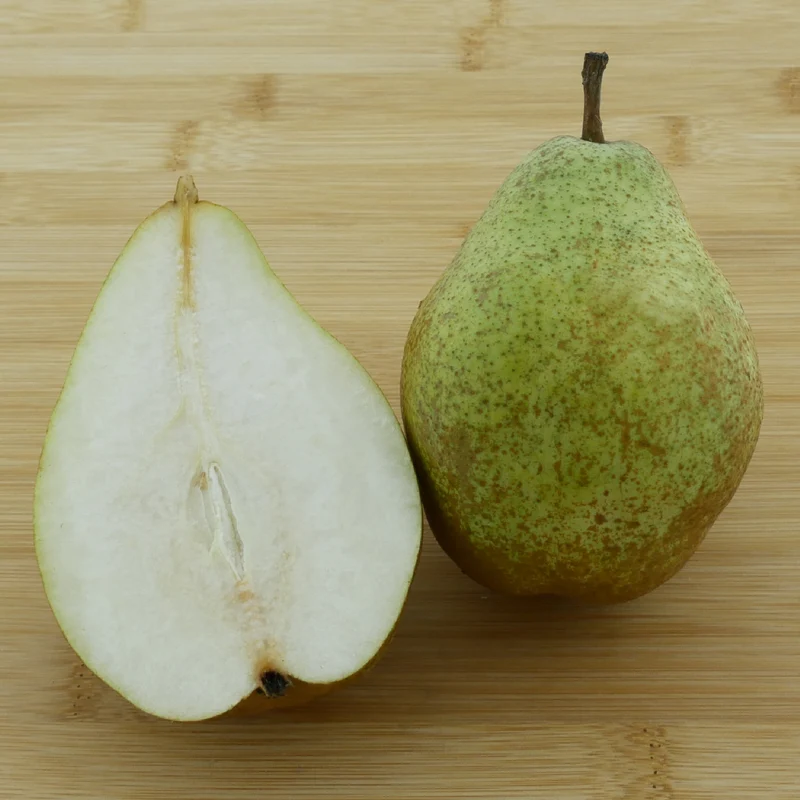 Bio-Birnbaum 'Köstliche von Charneux'