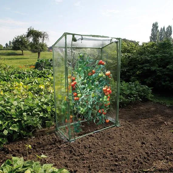 Mini-Gewächshaus für Tomatengärten, H150x100x50cm