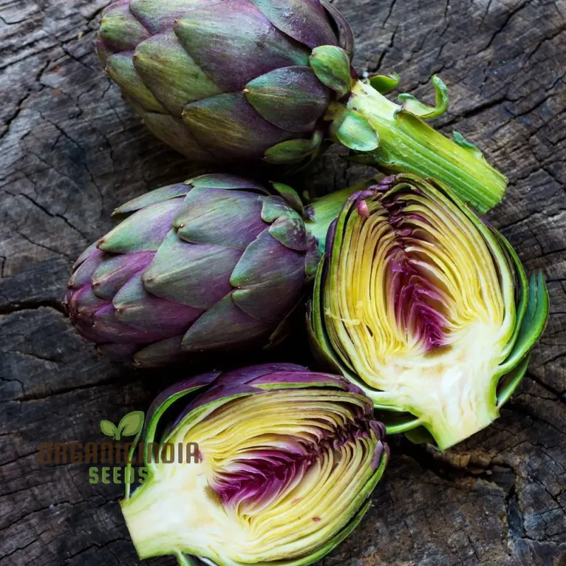 Artichoke Seeds - Purple Headed Seeds For Planting, Cultivate Eye-Catching Purple Artichokes