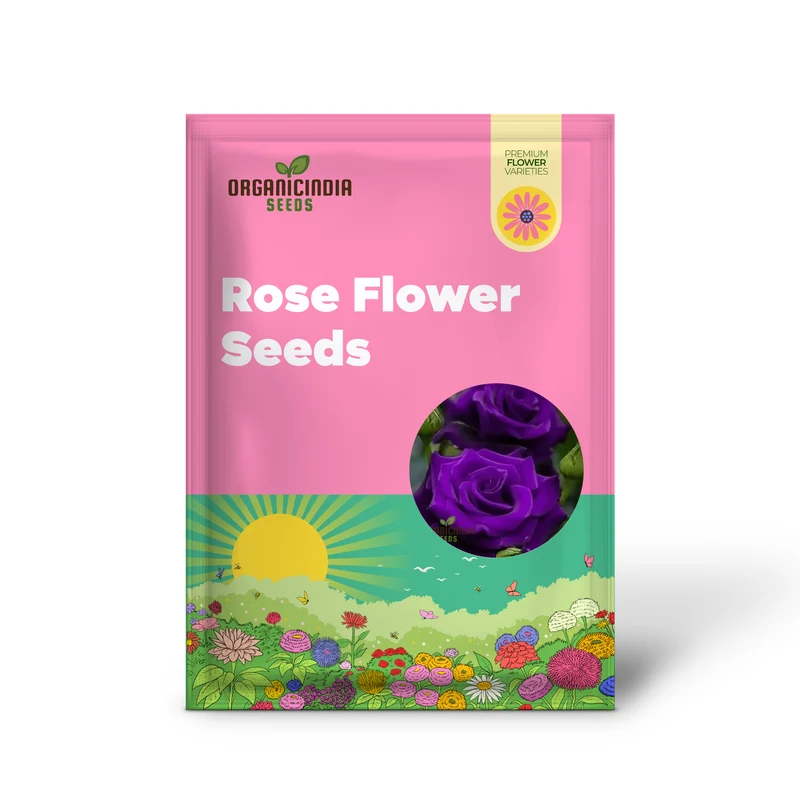 Purple Rose Flower Seeds, Easy to Grow Maintain China Rose for Stunning Home Gardening Landscaping, Premium Seeds for Planting