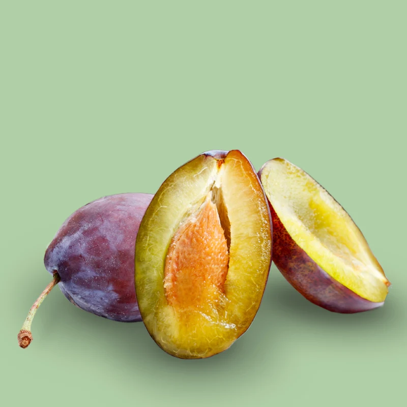 Bio-Zwetschgenbaum 'Presenta'