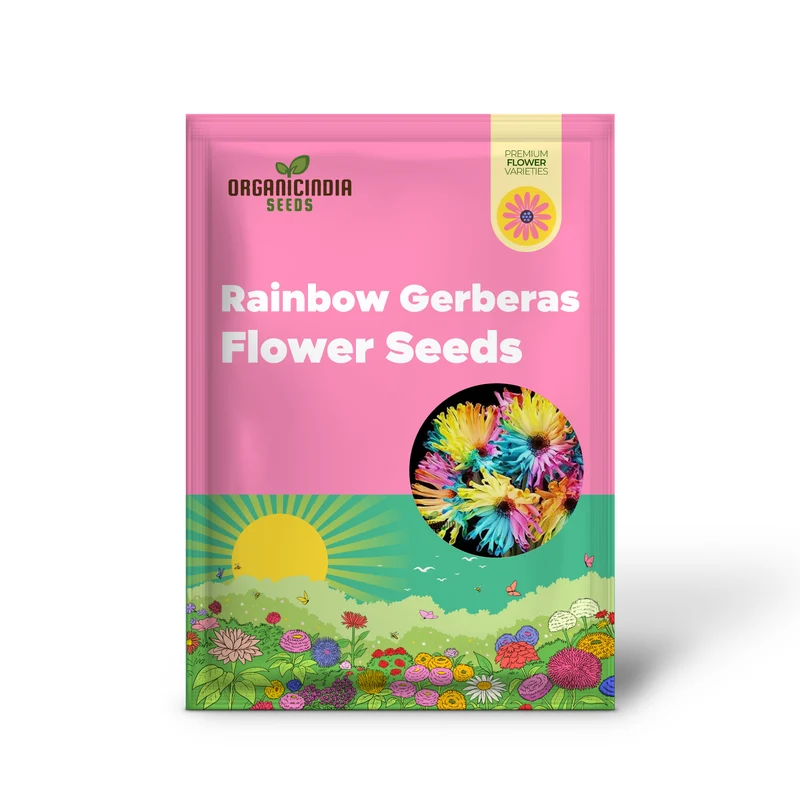 Rainbow Gerberas Exotic Flower Seeds for Planting, Cultivating a Stunning Array of Colorful Blooms in Your Garden