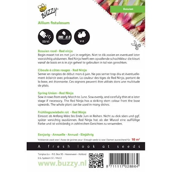 Rote Frühlingszwiebeln