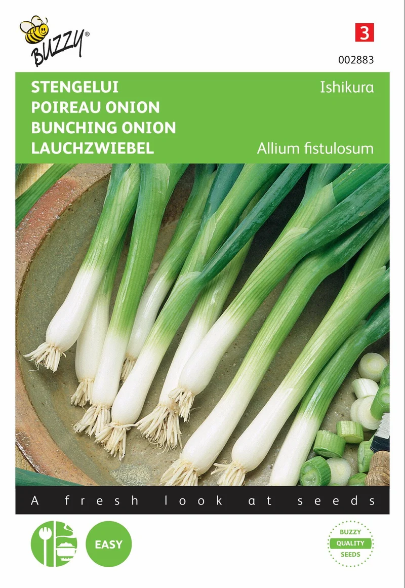 Frühlingszwiebel Ishikura